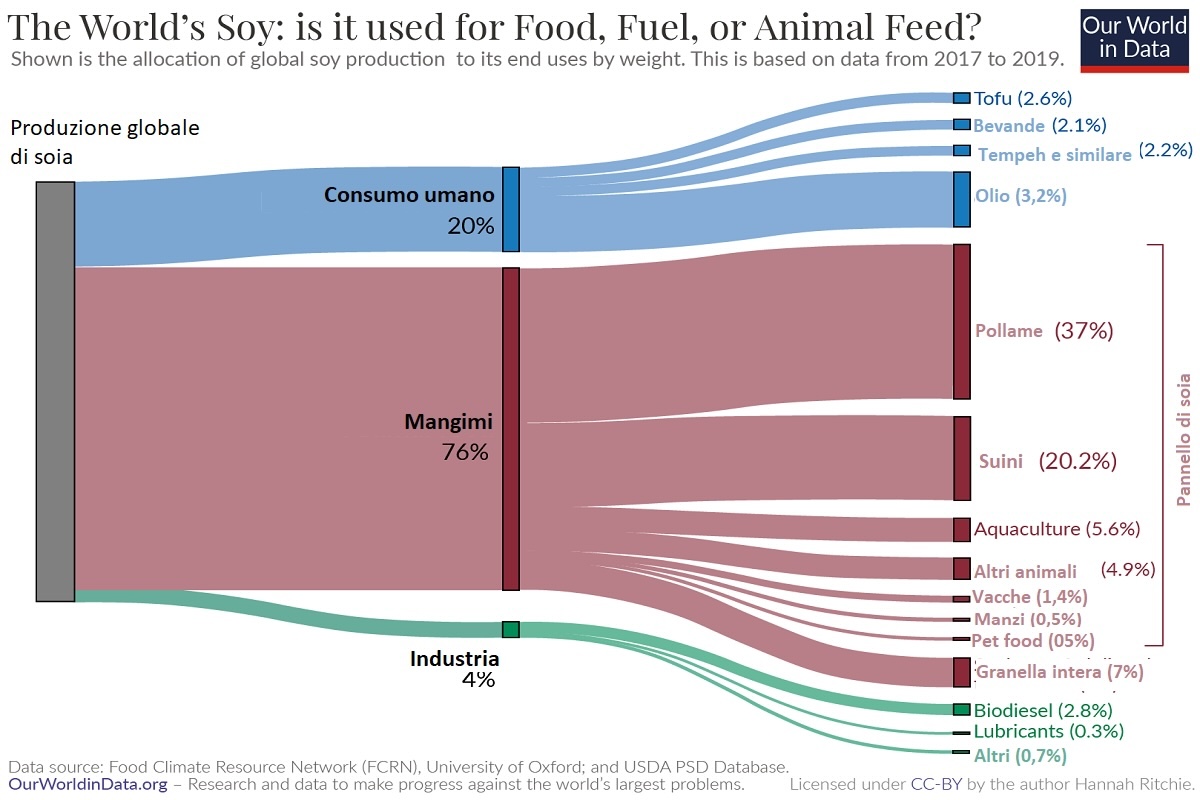 Grafico: The world's soy: is it used for food, fuel, or animal feed?